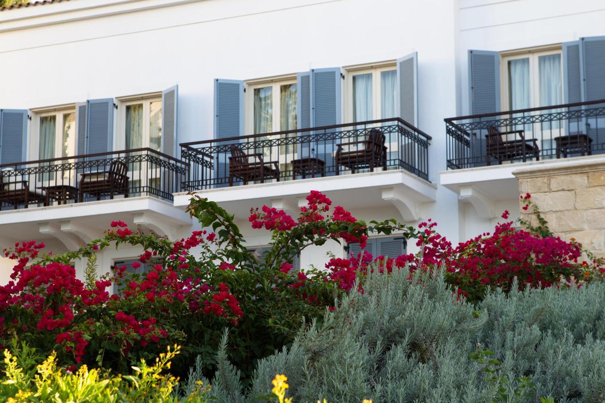Anassa Hotel Polis Ruang foto